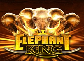 elephantking